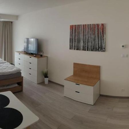 Apartment Korzo 318/3 Lipno nad Vltavou Eksteriør billede